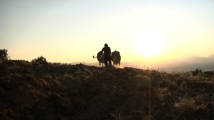 Festival delle Terre 